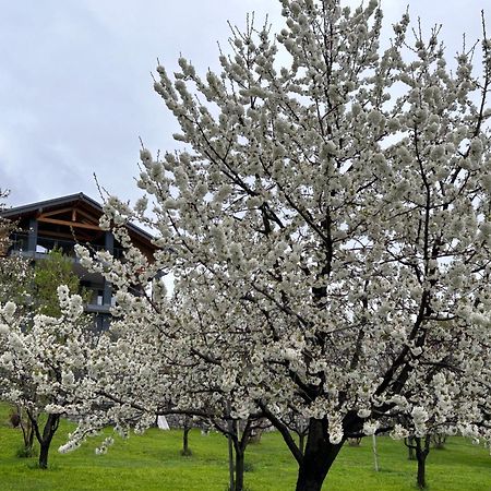 Affittacamere Verger Plein Soleil Saint-Pierre Kültér fotó