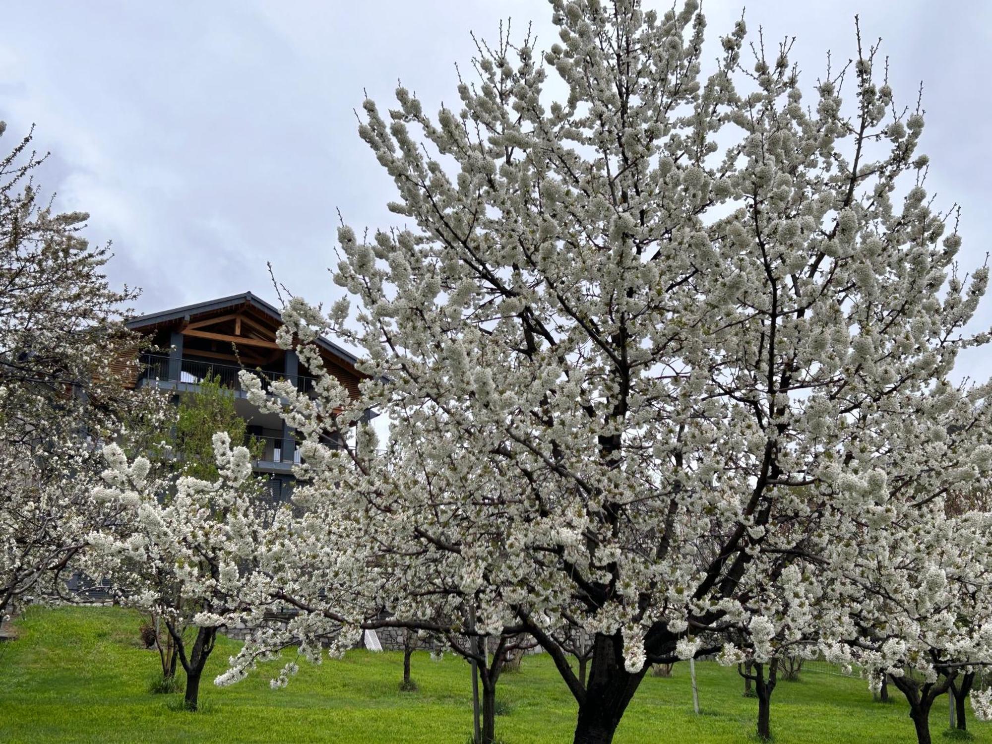 Affittacamere Verger Plein Soleil Saint-Pierre Kültér fotó